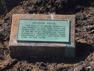 Spouting Horns