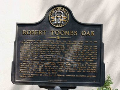 Robert Toombs Oak