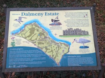 Dalmeny Estate Wildlife