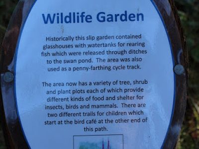 Wildlife Garden, Culzean Country Park