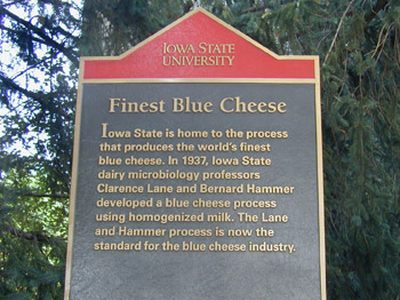 Finest Blue Cheese