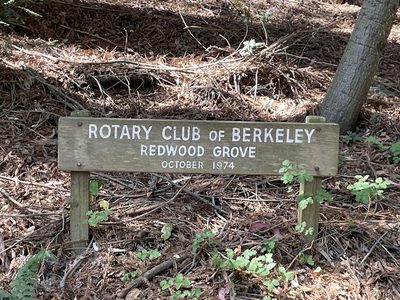 Rotary Club of Berkeley Redwood Grove