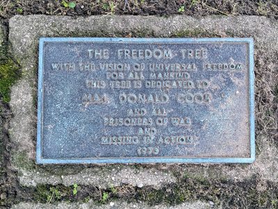 The Freedom Tree - Donald Cook