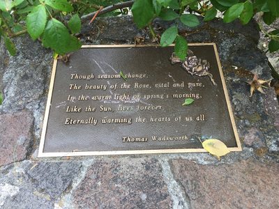 Berkeley Rose Garden