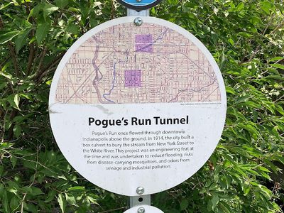 Pogue's Run