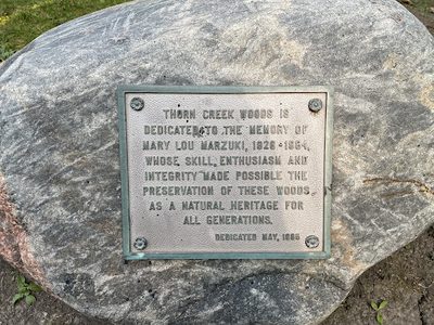 Thorn Creek Woods