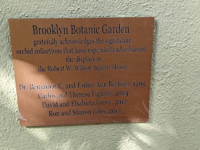 Brooklyn Botanic Garden - Robert W. Wilson Aquatic House