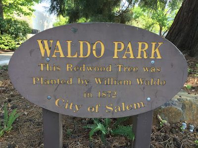 Waldo Park
