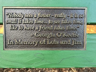 Nobody Sees a Flower