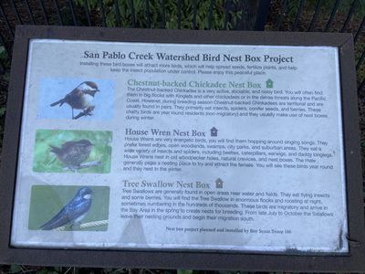 San Pablo Creek Watershed Bird Nest Box Project