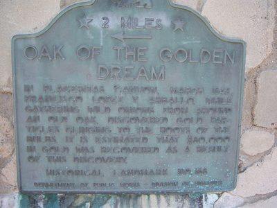 Oak of the Golden Dream