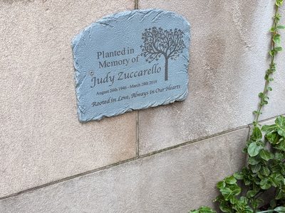 Judy Zuccarello