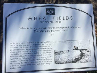 Oregon Wheat Fields