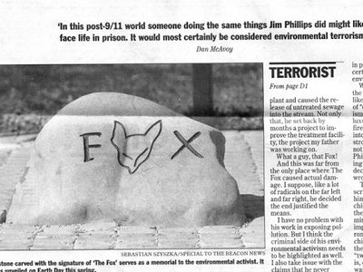 The Fox