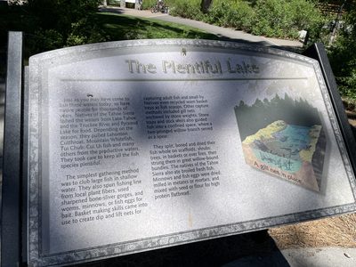 The Plentiful Lake