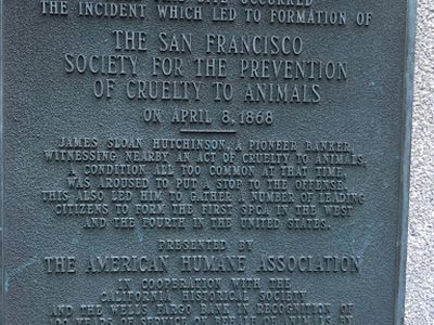 The San Francisco  Society for the Prevention  of Cruelty to Animals