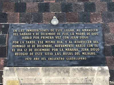 La Madre de Dios Hablo por Primera vez con Juan Diego