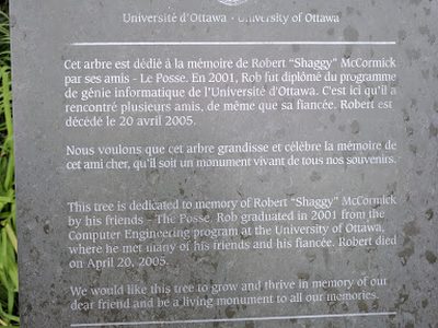 This Tree is Dedicated to the Memory of Robert "Shaggy" McCormick