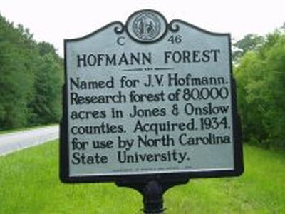 HOFMANN FOREST