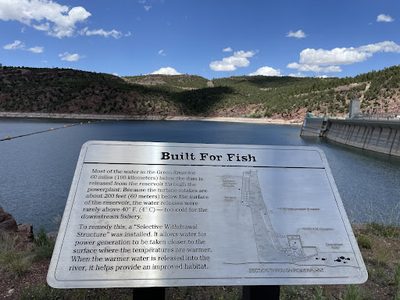 Built for Fish