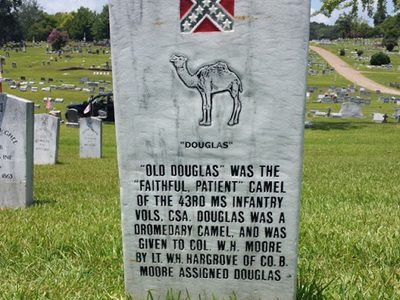 Old Douglas