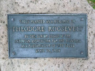 Theodore Roosevelt Trees