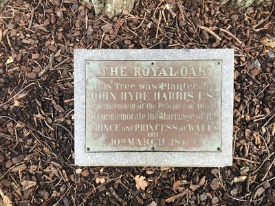 Royal Oak Dunedin