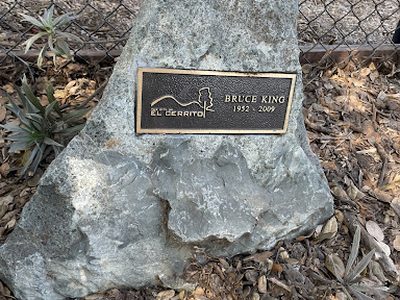 Bruce King