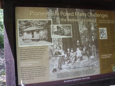 Pioneer Life Posed Many Challenges in the Redwood Forest