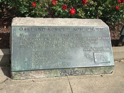 Oakland Municipal Rose Garden