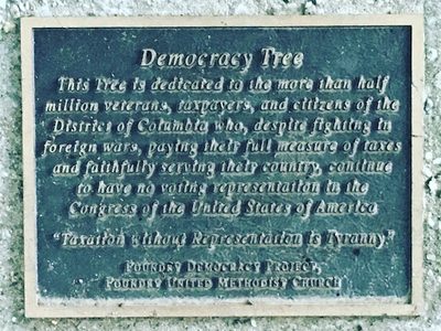 Democracy Tree