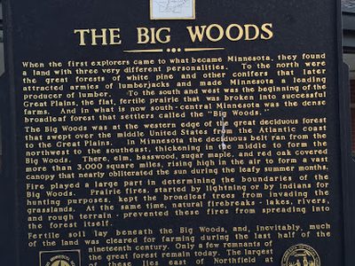 The Big Woods