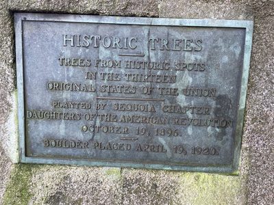 Historic Trees