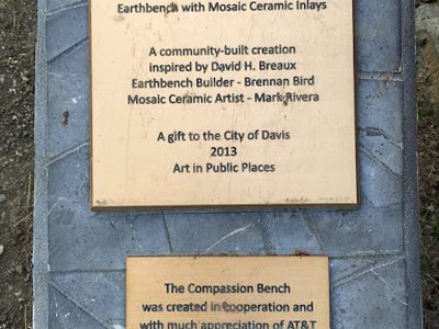 The Compassion Bench