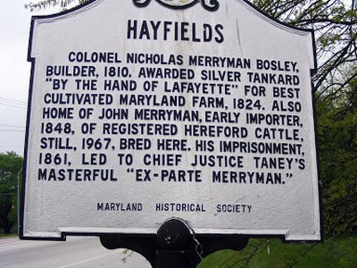 Hayfields