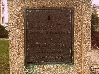 Metropolitan Association