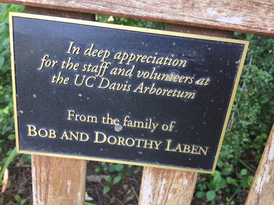 Bob and Dorothy Laben