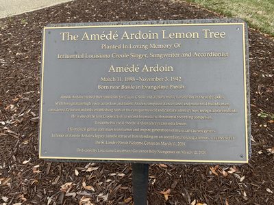 The Amédé Ardoin Lemon Tree