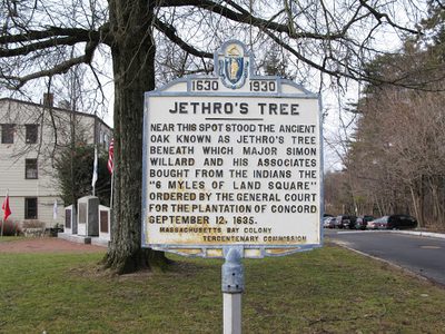 Jethro's Tree