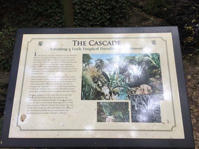 The Cascade