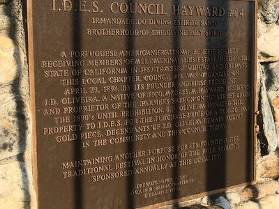 I.D.E.S. Council Hayward #14
