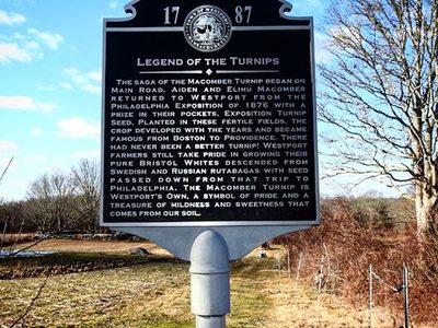 Legend of the Turnips
