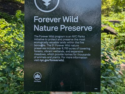 Forever Wild Nature Preserve
