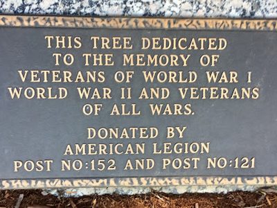 Veterans Tree