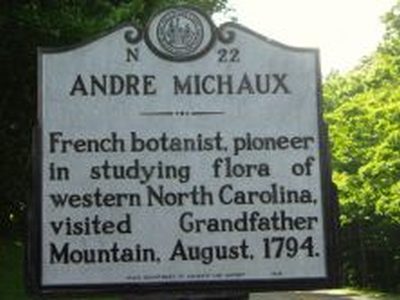 ANDRE MICHAUX