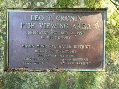 Fish Viewing Area