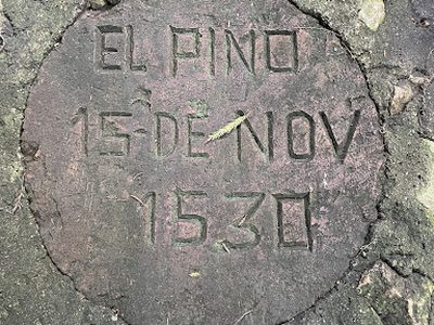 El Pino 15 de Nov 1530