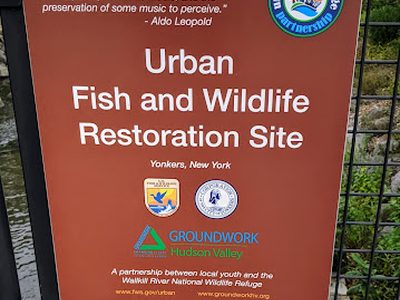 Urban Fish and Wildlife Restoration Site, Yonkers, New York
