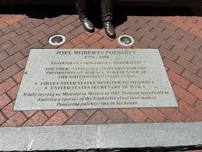 Joel Robert Poinsett