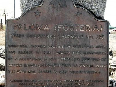 Paloma (Fosteria)